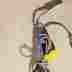 Fga.2b B14425 Lemo Cable Nellcor Spo2 Patient Monitor Module For N-200 Oximeter Guaranteed
