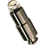 Replacement Lamp Bulb Riester 10600 Otoscope 2.5V. Fixed Price $24.95.