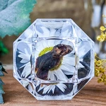 Taxidermy Fetal Mouse Baby Musculus Display Curiosities Oddities Decor. Fixed Price $24.99.